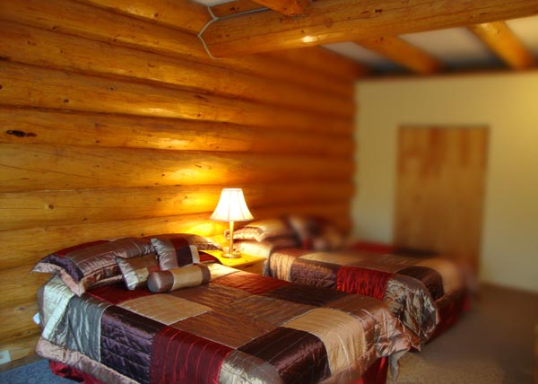 Helmcken Falls Lodge log room